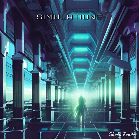 Simulations