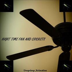 NIGHT FAN AND CRICKETS 8