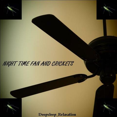 NIGHT FAN AND CRICKETS