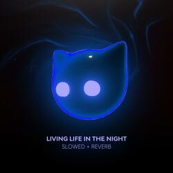 living life, in the night - slowed + reverb