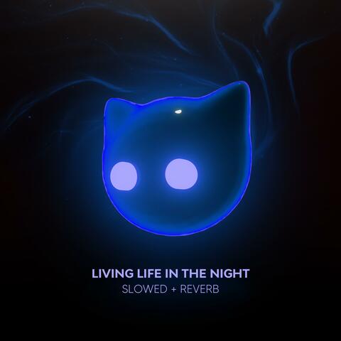 living life, in the night - slowed + reverb
