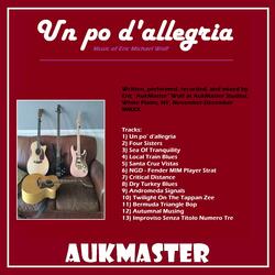 NGD - Fender MIM Player Strat