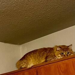Leave It Where I Can Reach