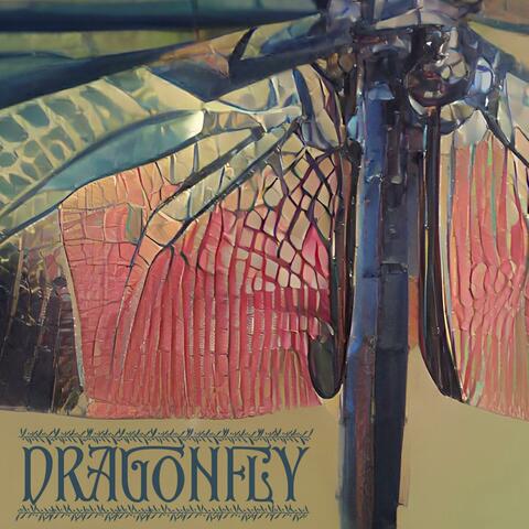 dragonfly