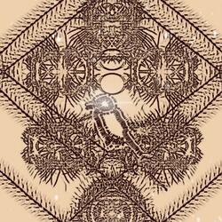 Sun Reaches Creatures Of The Deep