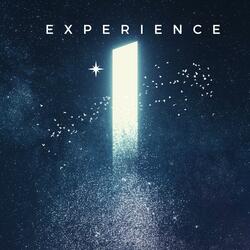 Experience