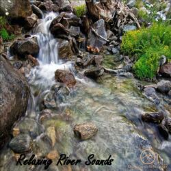 Stream Flowing Birds And Cicadas