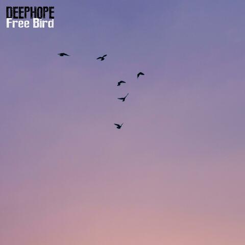 Free Bird