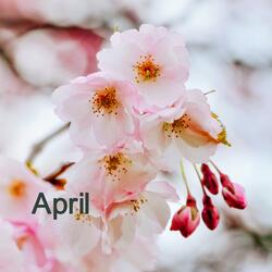 April