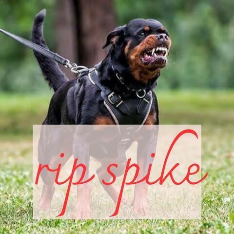 Spike