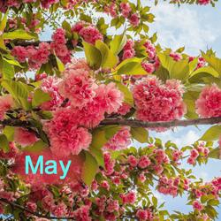 May