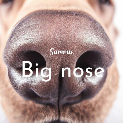 Big nose