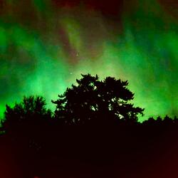 Off The Vibe/Party Break