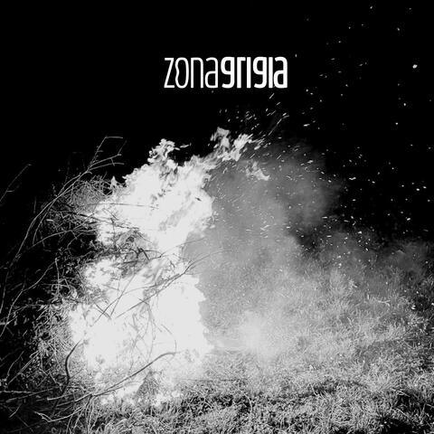 zonagrigia