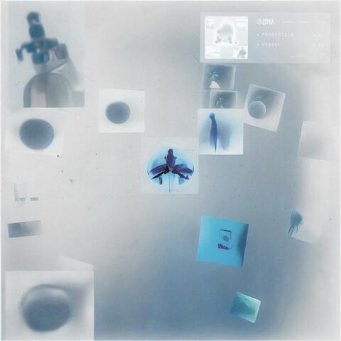 Paraxotica / Vessel