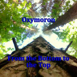 From the Bottom to the Top