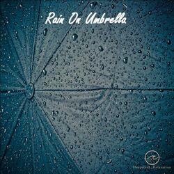 Rain On An Umbrella In The Garden