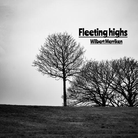 Fleeting highs