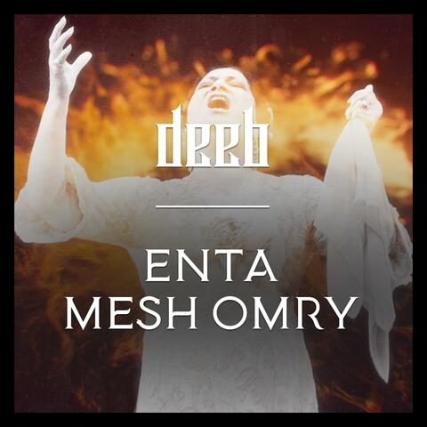 Enta Mesh Omry