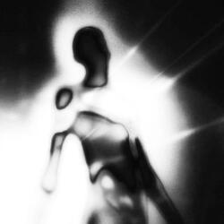 shadows