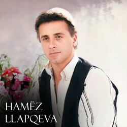 Këngë për Rapsodin Sef Mleqanin