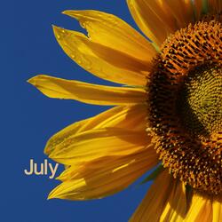 July