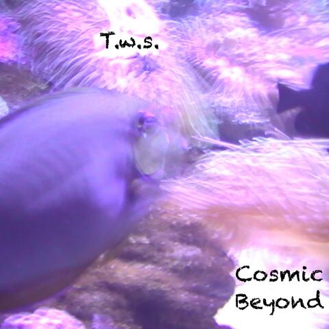 Cosmic Beyond