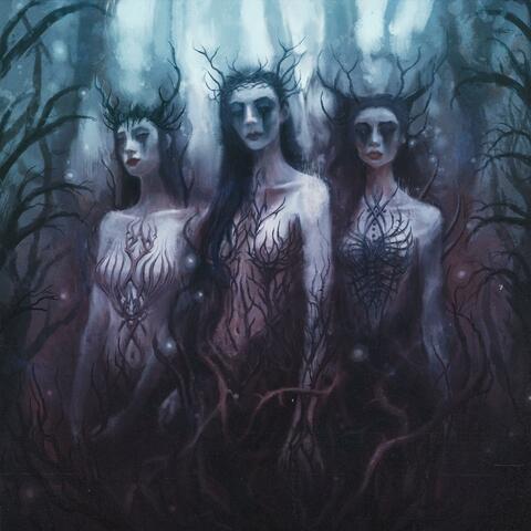 Wake of Endal