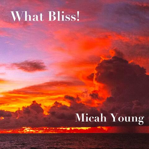 What Bliss!