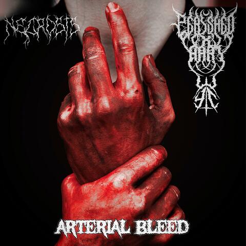 ARTERIAL BLEED