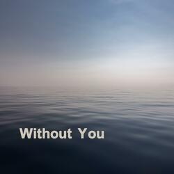 Without You
