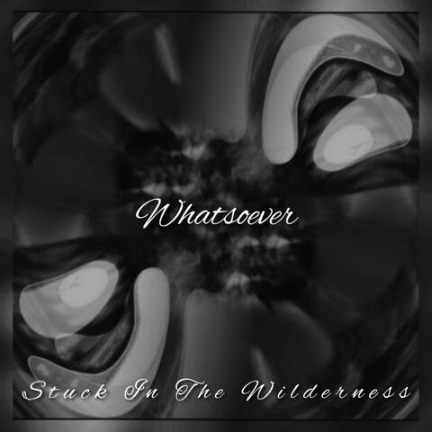 WhatsoeverII