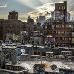 Street Jungle