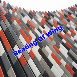 Beating Of Wing