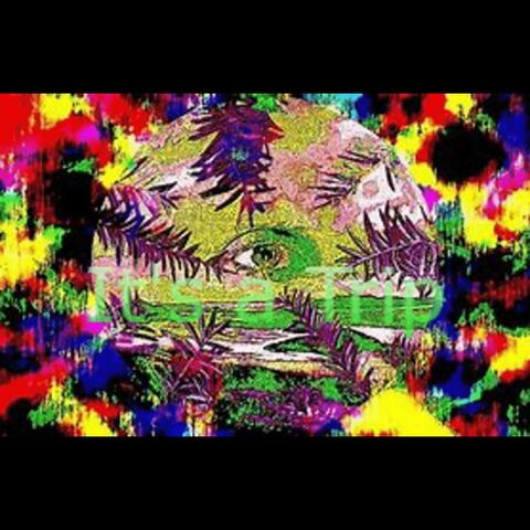 It's a Trip V4