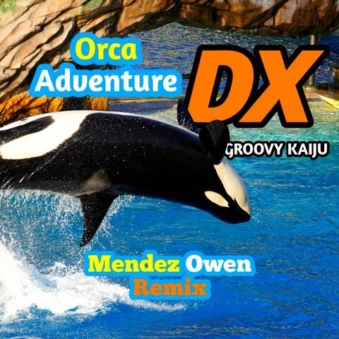 Orca Adventure