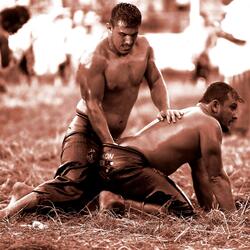 Turkish Testosterone_Illumine Concrete_Mick Wills