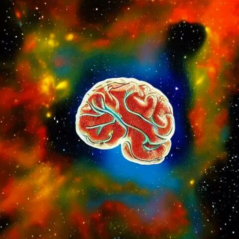 The mind