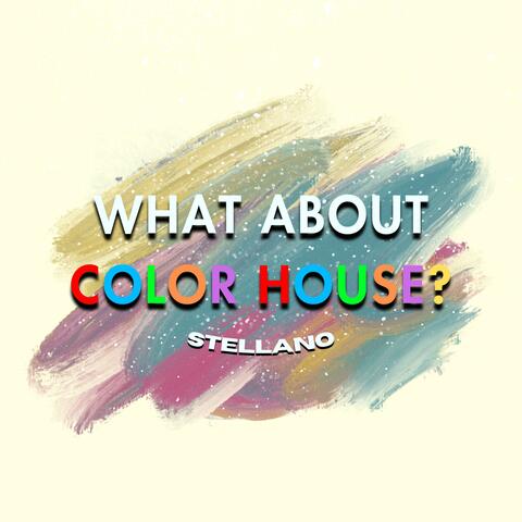 WHAT ABOUT COLOR HOUSE?