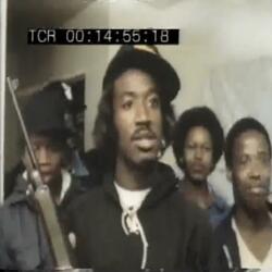 OG Turtle Talk