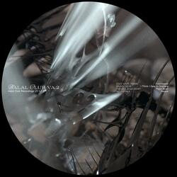 I Think I Saw A Chimera