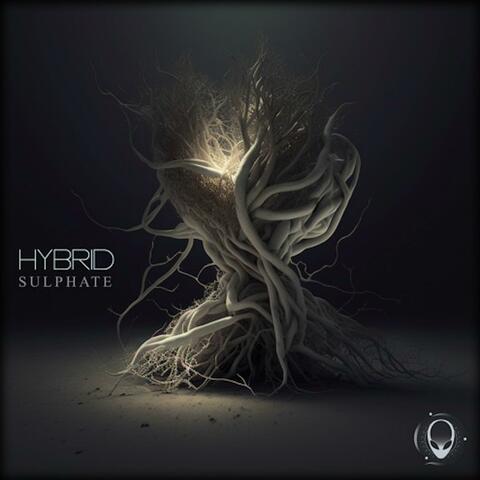 Sulphate