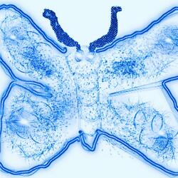 Through The Shaded Gate