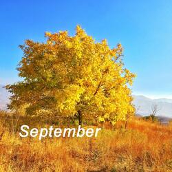 September