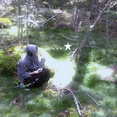silent