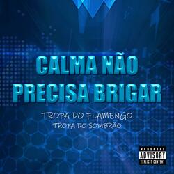 CALMA NAO PRECISA BRIGAR PRO FLAMENGO TU SENTA COM A TCHECA