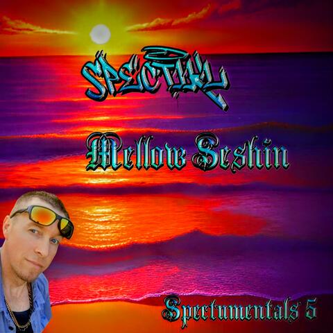 Mellow Seshin - Spectrumentals 5