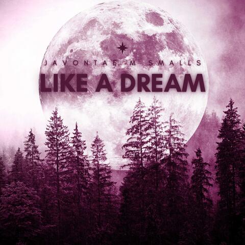 Like a dream