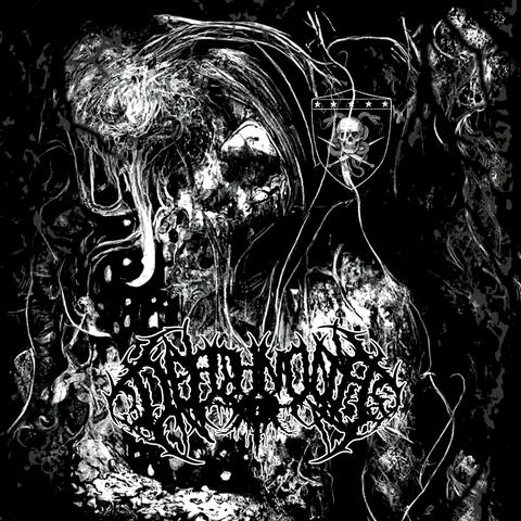 Because I Fucking Hate You