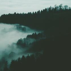 the nights on the backroad
